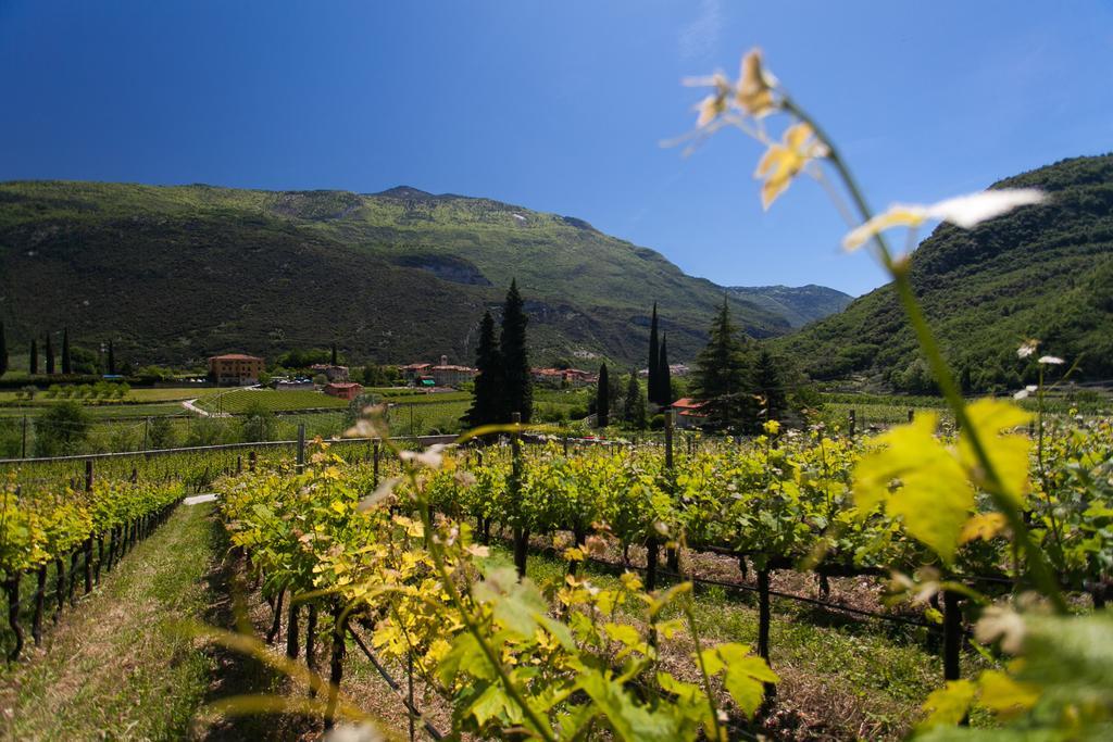 Agriturismo Maso Lizzone Dro Εξωτερικό φωτογραφία